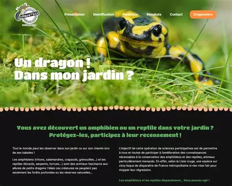 [Webinaire] Lancement de l&rsquo;évènement « La Nuit des Dragons