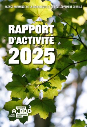 Rapport d&rsquo;activité 2025