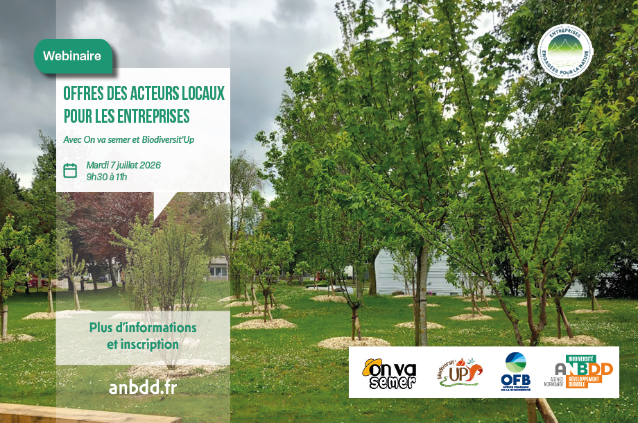[Webinaire] Offres des acteurs locaux pour les entreprises : On va semer et Biodiversit&rsquo;Up