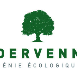 Dervenn