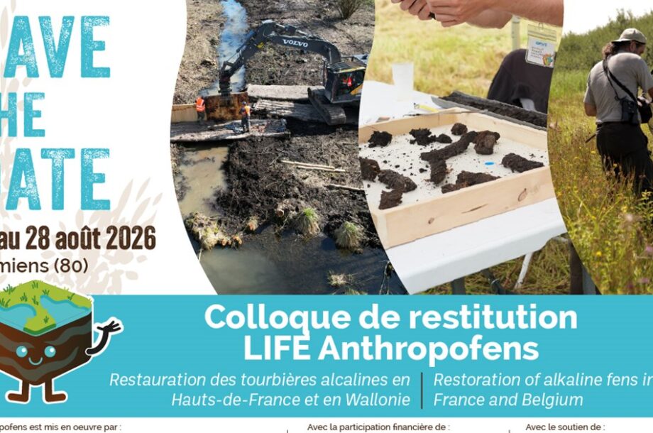 [Colloque] Colloque de restitution LIFE Anthropofens : Restauration des tourbières alcalines en Hauts-de-France et en Wallonie