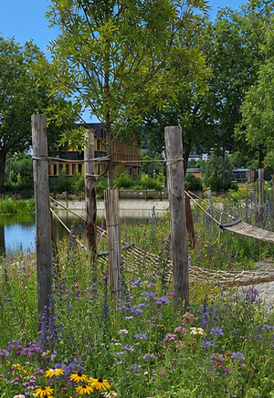 Les aides financières biodiversité