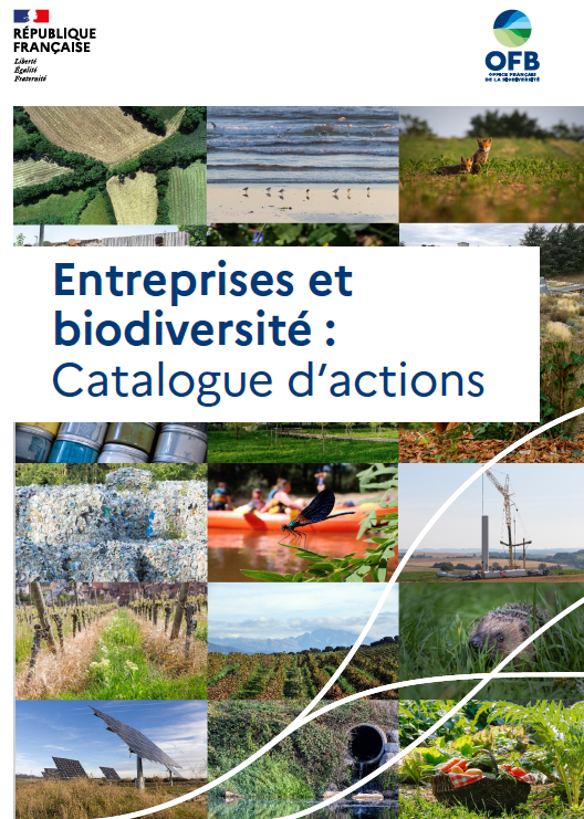 Entreprises et biodiversité : catalogue d&rsquo;actions