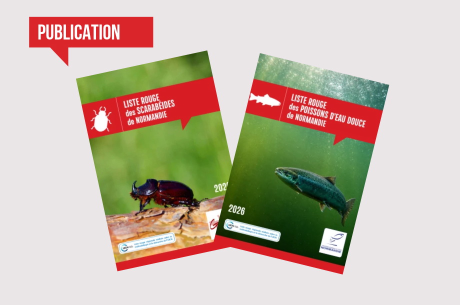 Biodiversité en Normandie : publication des nouvelles Listes Rouges des Poissons d’eau douce et des Scarabéidés