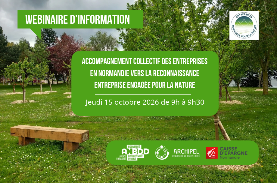[Webinaire d&rsquo;information] Accompagnement collectif des entreprises vers la reconnaissance EEN