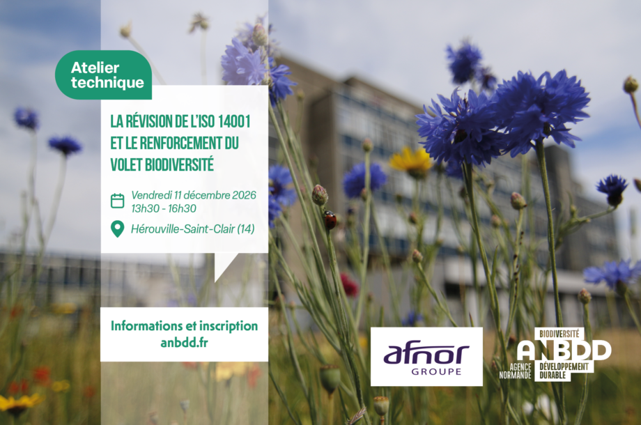[Atelier technique]  La révision de l&rsquo;ISO 14001 et le renforcement du volet biodiversité